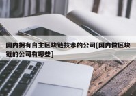 国内拥有自主区块链技术的公司[国内做区块链的公司有哪些]