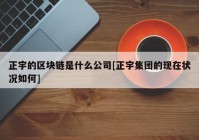 正宇的区块链是什么公司[正宇集团的现在状况如何]